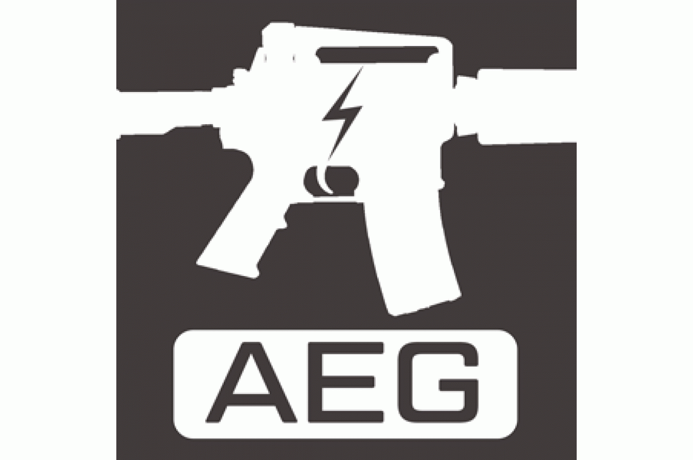 AEG Rifle
