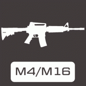 M4 / M16 (229)