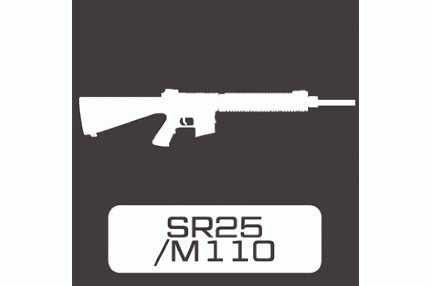 SR25 / M110