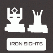 Iron Sights (13)