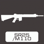 SR25 / M110 (6)